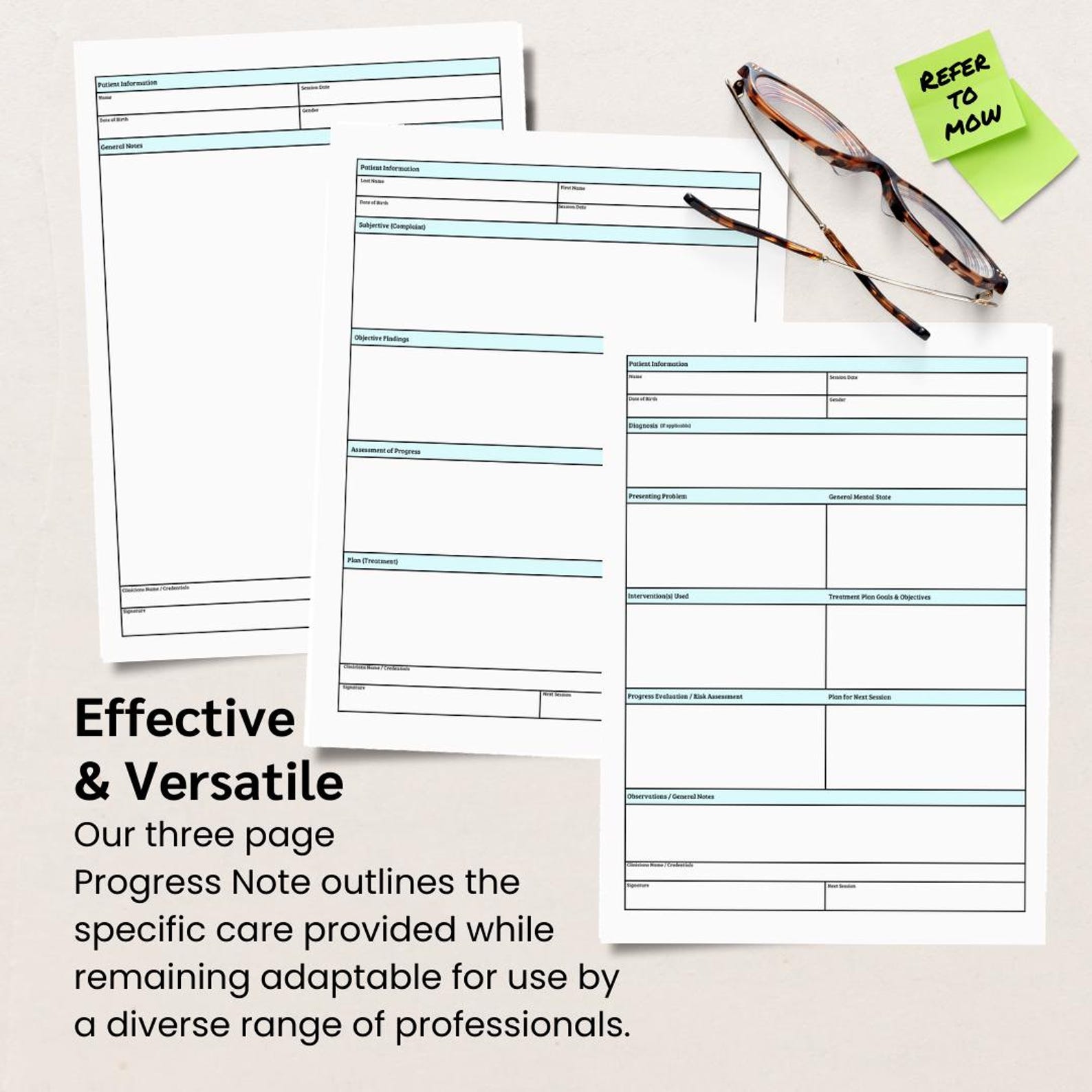 Case Manager Progress Note Printable, Social Worker Visit Notes, RN ...