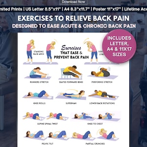 Back Pain Relief Exercises For Seniors, Senior Workout Routines, Lower Back Exercises, Home Workout Program, Chair Yoga For Seniors