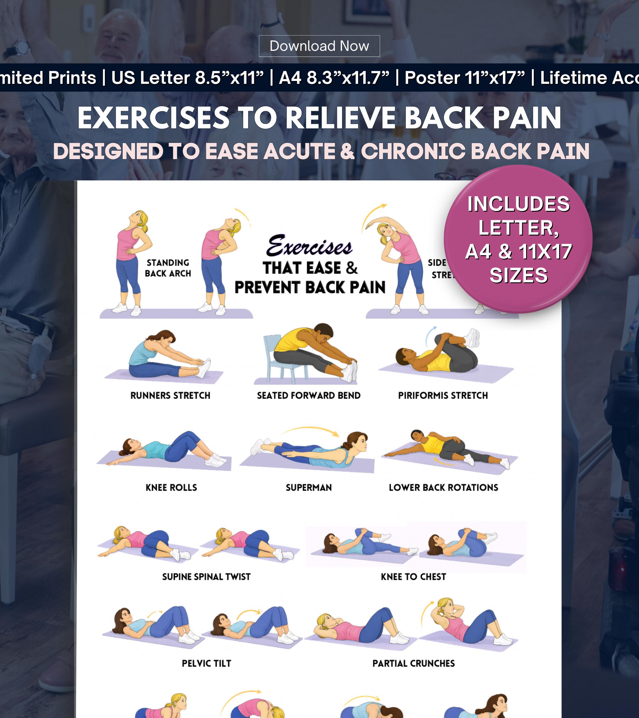 Back Pain Relief Exercises for Seniors, Senior Workout Routines, Lower ...