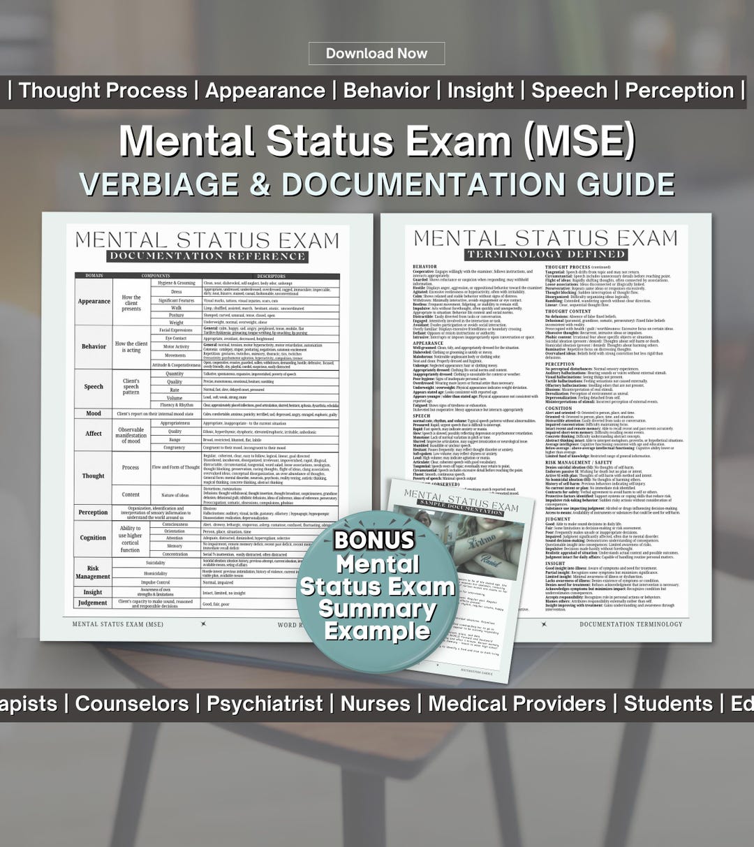 Mental Status Exam (MSE) Toolkit & Documenting Guide - Clinical Tool ...