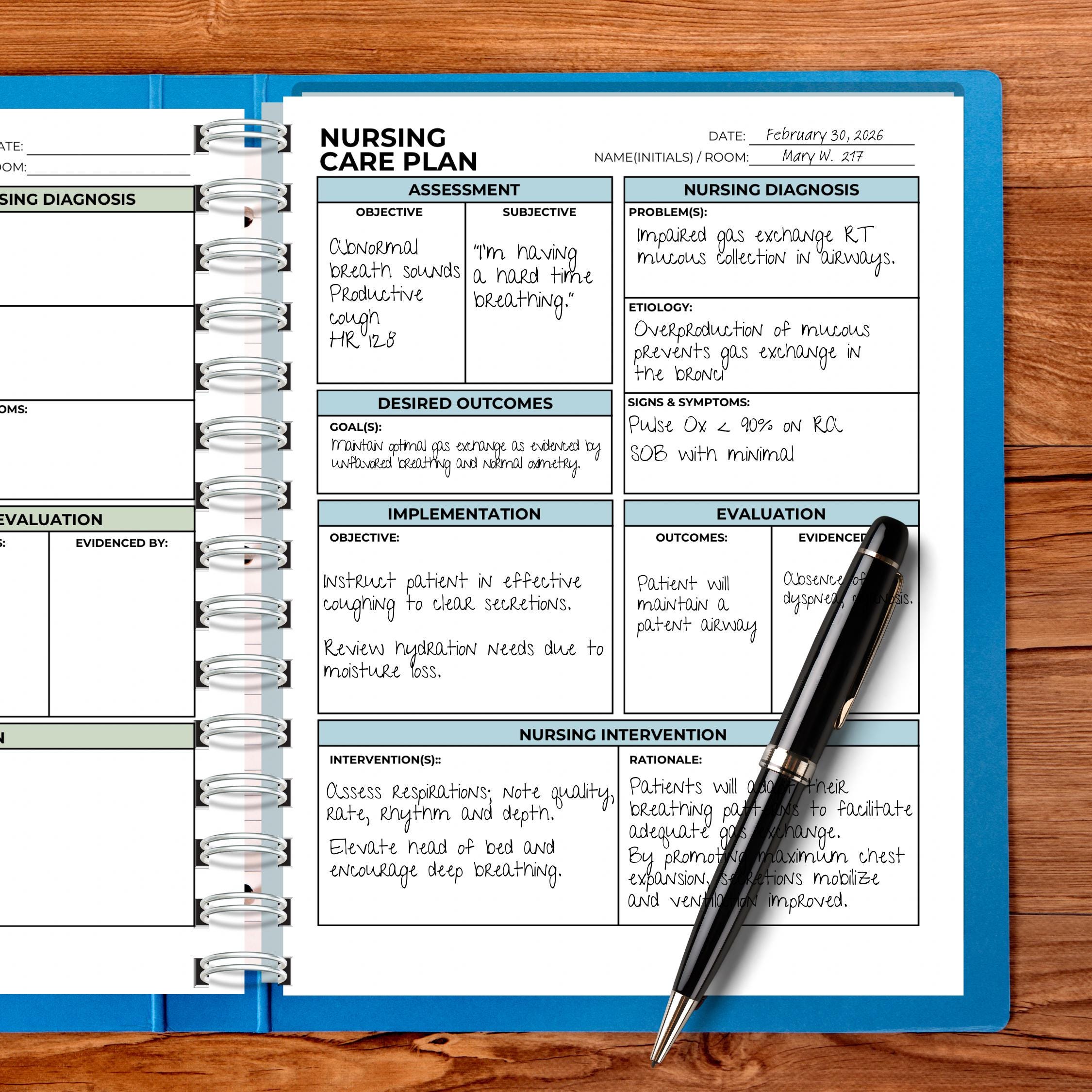 Nursing Care Plan Templates: Assessment, Intervention, Outcomes Guide ...