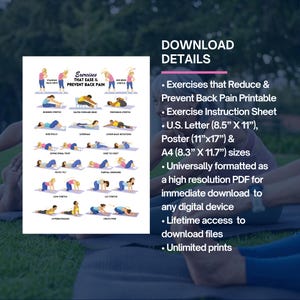 Back Pain Relief Exercises For Seniors, Senior Workout Routines, Lower Back Exercises, Lower Back Pain Workout Program image 8