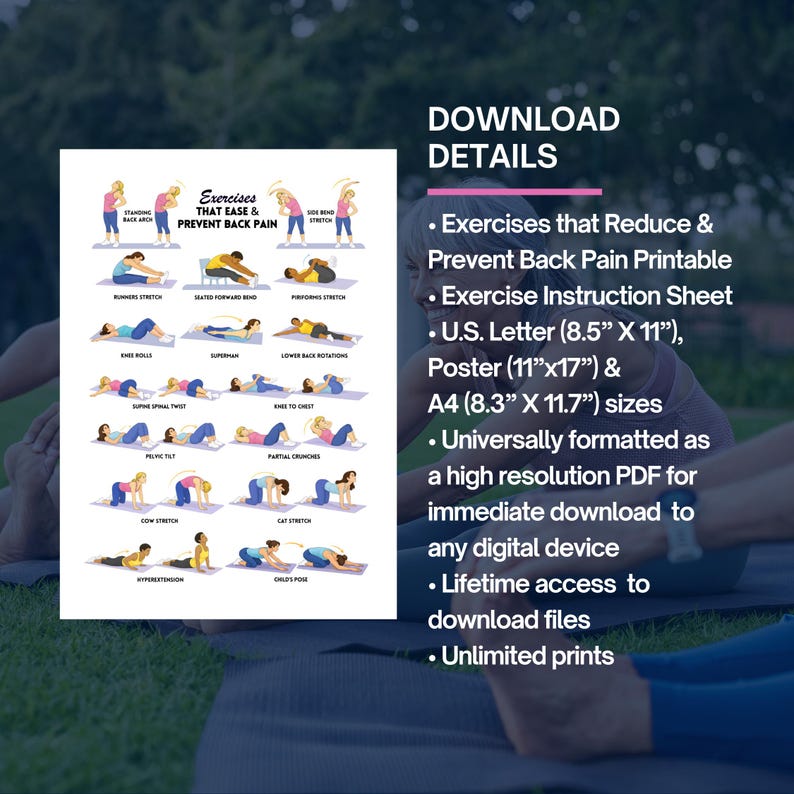 Back Pain Relief Exercises For Seniors, Senior Workout Routines, Lower Back Exercises, Lower Back Pain Workout Program image 8