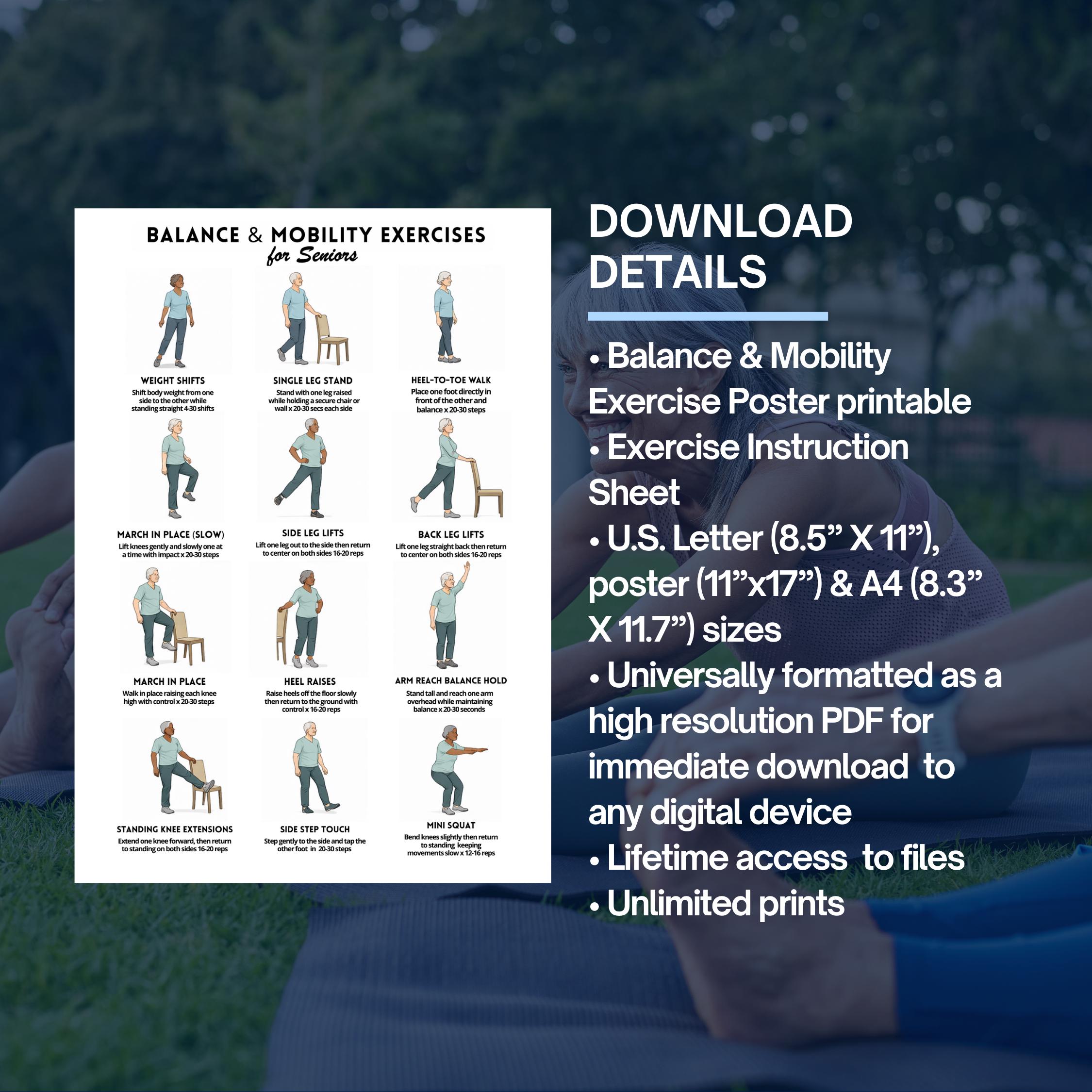 Fall Prevention & Balance Exercises for Seniors Poster, Easy Mobility ...