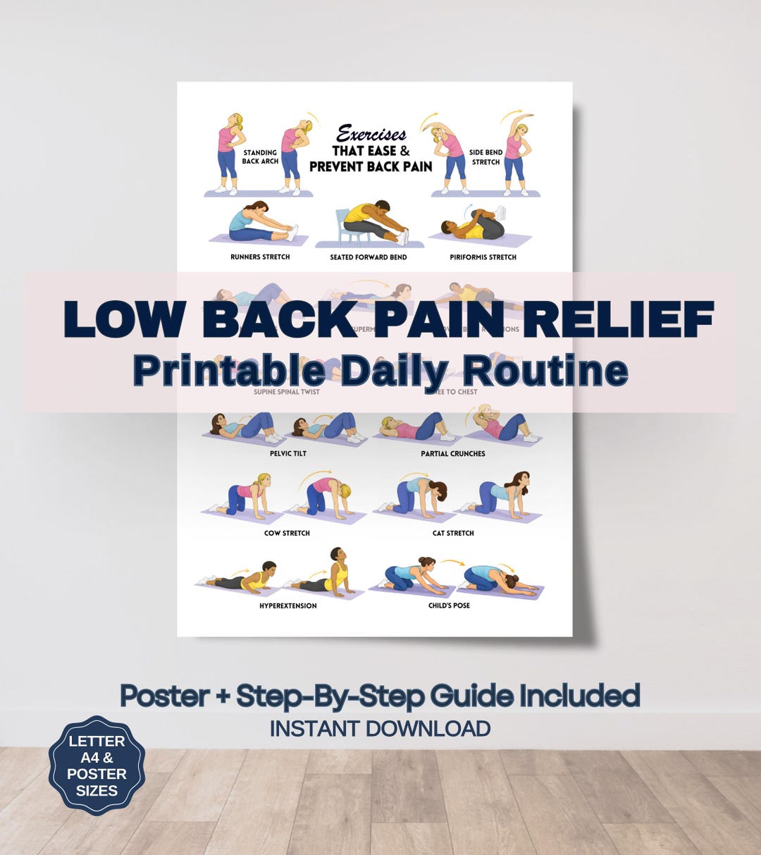 Back Pain Relief Exercises for Seniors, Senior Workout Routines, Lower ...