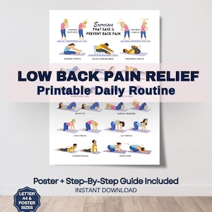 Back Pain Relief Exercises For Seniors, Senior Workout Routines, Lower Back Exercises, Lower Back Pain Workout Program