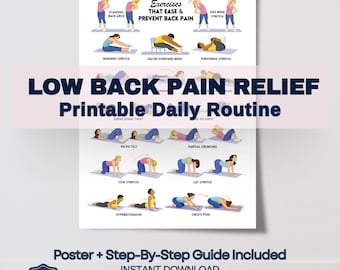 Back Pain Relief Exercises For Seniors, Senior Workout Routines, Lower Back Exercises, Lower Back Pain Workout Program