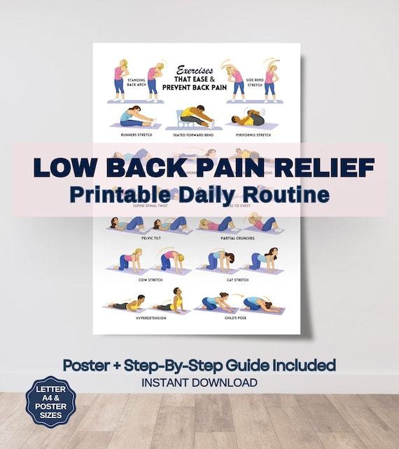 Back Pain Relief Exercises For Seniors, Senior Workout Routines, Lower Back Exercises, Lower Back Pain Workout Program