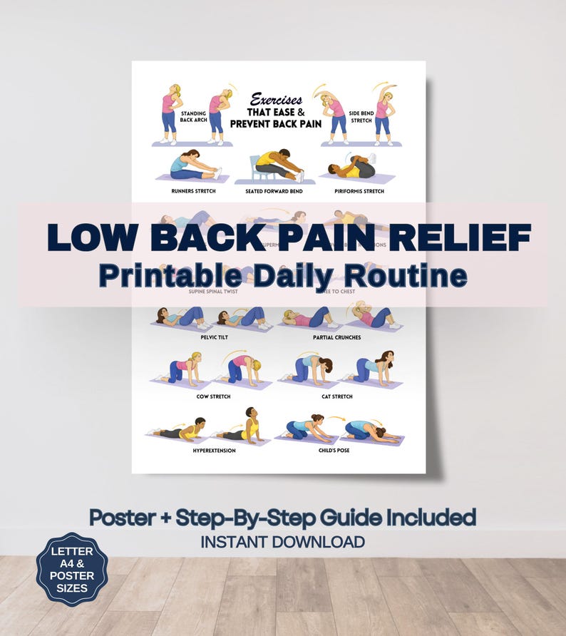 Back Pain Relief Exercises For Seniors, Senior Workout Routines, Lower Back Exercises, Lower Back Pain Workout Program image 1