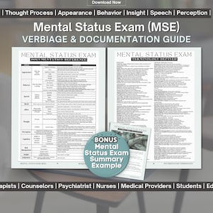 精神状態検査記録リファレンスガイド - MSE用語、文言、チャートサンプル（PDFダウンロード）