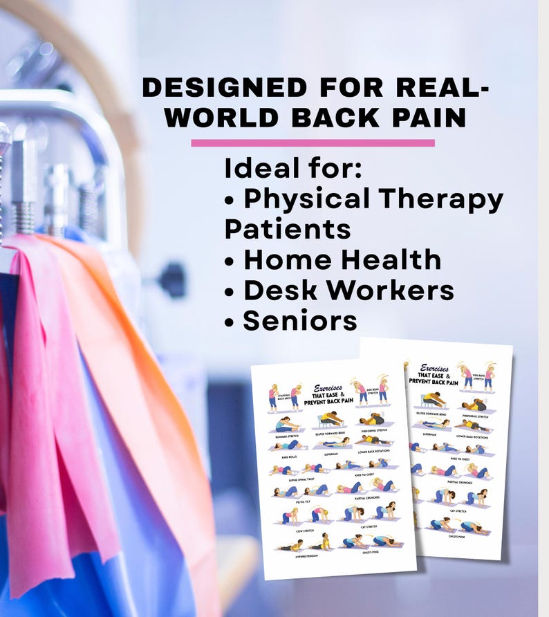 Back Pain Relief Exercises For Seniors, Senior Workout Routines, Lower Back Exercises, Lower Back Pain Workout Program image 4