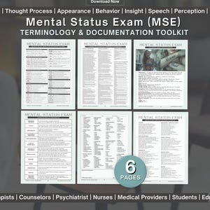 Könnte beinhalten: Ein sechseitiges Mental Status Exam (MSE) Terminologie- und Dokumentations-Toolkit mit Bewertungsaufforderungen, Pflegeplanungsinterventionen und Beispieldokumentationen auf weißen Seiten mit schwarzem Text und Tabellen.
