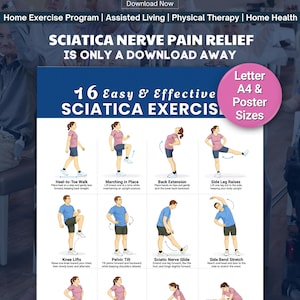 Sciatica Pain Relief Exercises Printable, Easy Lower Back & Nerve Stretch Routine, Sciatic Nerve Mobility Chart (PDF Download)