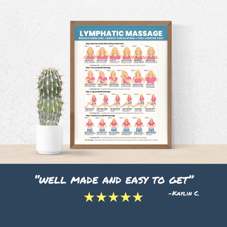 May include: A framed instructional poster titled Lymphatic Massage with diagrams showing massage techniques for the neck, arms, legs, and abdomen, accompanied by a green cactus in a white pot and a five-star review text reading Well made and easy to get.