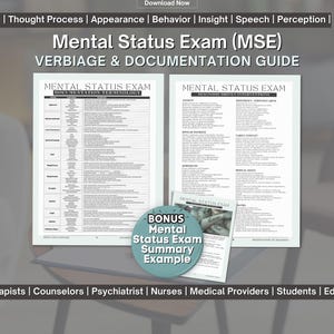 Mental Status Exam (MSE) Toolkit & Documenting Guide - Clinical Tool for Therapy, Psychiatry, LMSW, LCSW, MfT, LPc, PMHNp, Psychology