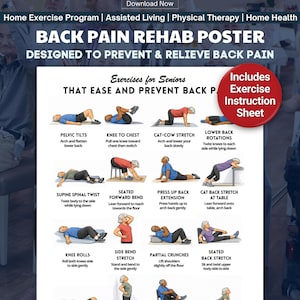 Back Pain Relief Exercises Poster | 16 Gentle Exercises | Printable Physical Therapy Chart | Beginner Senior Fitness & Mobility Program PDF