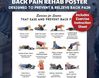 Back Pain Relief Exercises Poster | 16 Gentle Exercises | Printable Physical Therapy Chart | Beginner Senior Fitness & Mobility Program PDF