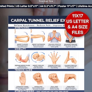 Pode incluir: Um poster com exercícios para alívio da síndrome do túnel cárpico, com ilustrações de movimentos das mãos. Apresenta alongamentos, mobilidade, deslizamento de tendões e técnicas de fortalecimento. Disponível nos tamanhos US Letter 21.6x27.9 cm e A4 21x29.7 cm, para aliviar a dormência e reduzir a dor.
