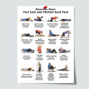 Back Pain Relief Exercises Poster | 16 Gentle Exercises | Printable ...