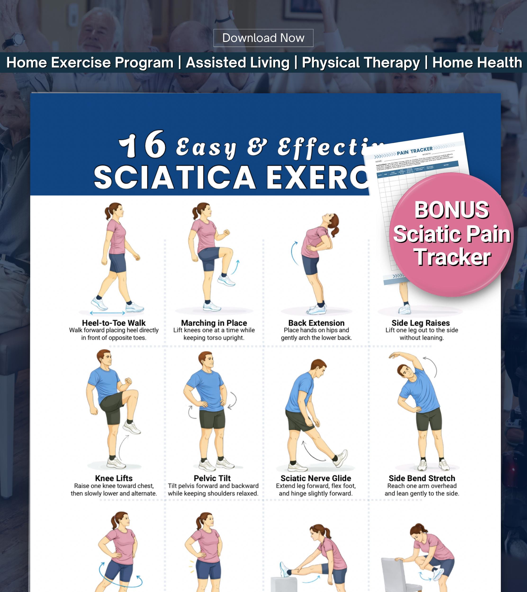 Sciatica Pain Relief Exercises Printable, Easy Lower Back & Nerve ...
