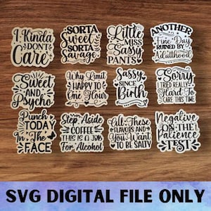 Ensemble d'aimants SVG SASSY - Téléchargement de fichier numérique - Glowforge, drôle, idiot, sarcastique, sarcasme, impertinent, aimant de bureau pour réfrigérateur, fichier de gravure laser