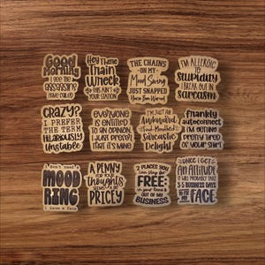 SVG V15 Sarcastic Magnet Set-Digital File Download - Glowforge, Funny, Silly, Snarky, Sarcasm, Refrigerator Desk Magnet Laser Engrave File image 5