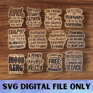 SVG V15 Sarcastische magneet set-digitaal bestand downloaden - Glowforge, Funny, Silly, Snarky, Sarcasme, koelkast bureaumagneet lasergraveerbestand
