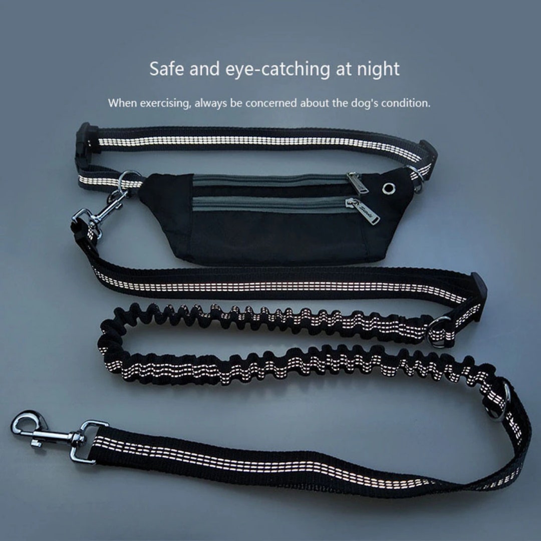 Multicolor Waterproof Handsfree Leash W/ Portable Storage Etsy