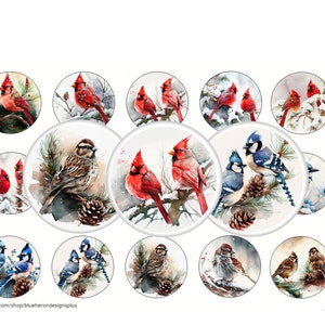 Cardinaux, geais bleus, moineaux - Bouchon de bouteille de 2,5 cm, achetez-en 3, obtenez-en 1 GRATUITEMENT, 15 images sur feuille 4 x 6. Téléchargement numérique.  JPEG