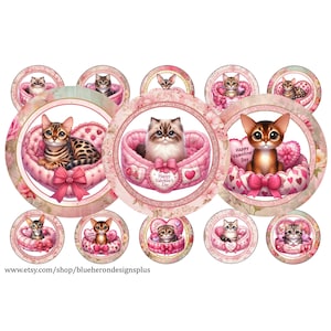 valentines Cat in a Box in Shabby Chic Frames-1inch Bottle Cap Images- Buy 3 get 1 Free-Read Directions-4x6 sheet. Digital Download JPEG&PNG
