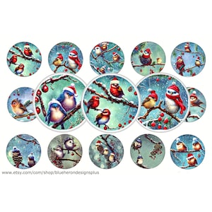 Winter Bird Images - 1 inch Bottle Cap Designs, Buy 3 get 1 Free- Read Directions- 15 1in Circles, 4x6 sheet. Digital Download.  JPEG