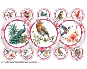 Cherry Blossoms Spring Birds 1 inch Bottle Cap Images- Buy 3 get 1 Free- Read Directions- 4x6 sheet. Digital Download-JPEG&PNG-25MM-Confetti