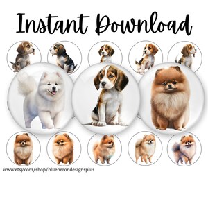 Puede incluir: Un conjunto de 12 imágenes digitales imprimibles con diferentes razas de perros. Las imágenes incluyen un Samoyedo blanco, un Beagle marrón y blanco y un Pomerania marrón.