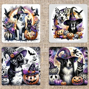 Posavasos cuadrados de 4 x 4 pulgadas con diseño de perros, gatos y calabazas para Halloween (sublimación) - Descarga digital - Archivo JPEG - Posavasos - Diario basura - Scrapbooking - Tarjetas