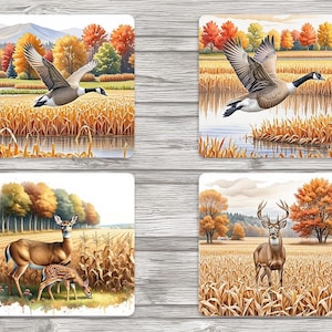May include: Four square coasters featuring autumnal scenes. The top left coaster shows a Canadian goose flying over a field of corn. The top right coaster shows a Canadian goose flying over a lake with a field of corn in the background. The bottom left coaster shows a mother and baby deer standing in a field of corn. The bottom right coaster shows a buck deer standing in a field of corn.