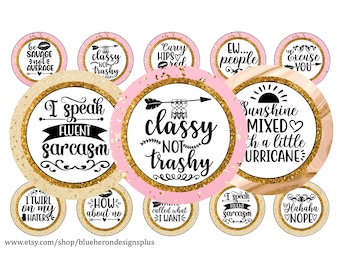 Sarcastic Sassy Quotes in Pink and Beige Frames-1 inch Bottle Cap Image-JPEG-PNG-Buy 3 get 1 Free-See Direction-4x6 sheet- 15 image. Digital