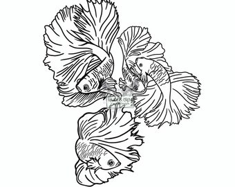 Fighter fish- Instant Download- svg-png-jpg files included- svg bundle