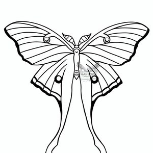 May include: A black and white line drawing of a butterfly with long, thin legs. The butterfly has large wings with a striped pattern.