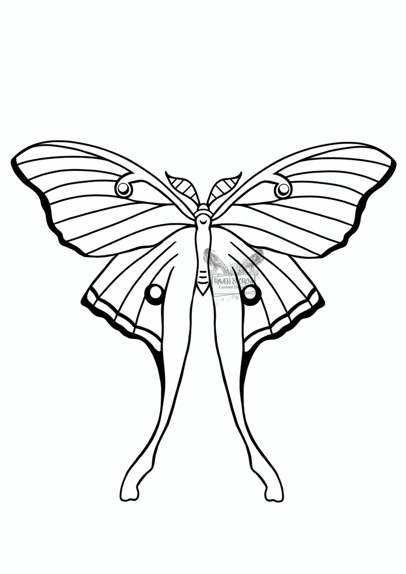 May include: A black and white line drawing of a butterfly with long, thin legs. The butterfly has large wings with a striped pattern.