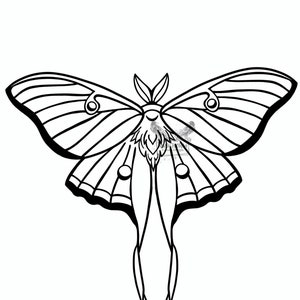 May include: A black and white line drawing of a luna moth with its wings spread wide. The moth has a long, thin body and large, rounded wings with intricate patterns.