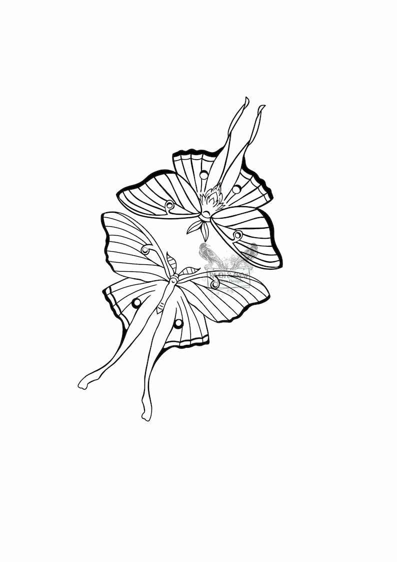 May include: Line drawing of two luna moths in flight, with their wings spread out. The moths are facing each other, and their wings are overlapping.