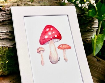 Impresión de acuarela de hongo rojo: arte de hongos, juego de tarjetas