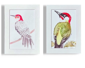 Watercolor Bird Prints | Red Bellied Woodpecker | Green Woodpecker | Original Watercolor Art Print | Avian Art Prints