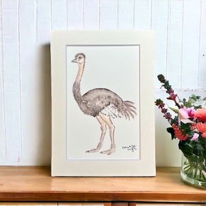Watercolor Ostrich Original Art Print: Matted Bird Wall Decor
