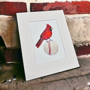 St Louis Cardinal Original Art Print: Bird on Baseball, Matted Watercolor