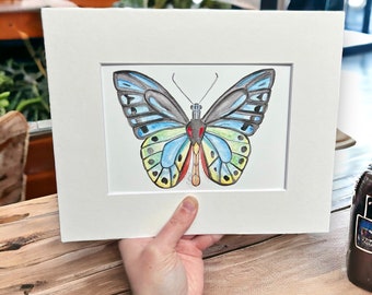 Butterfly Watercolor Print: Original Colorful Butterfly Art