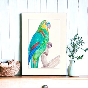 Green Cheek Conure Original Watercolor Print: Matted Parrot Art (4x6)