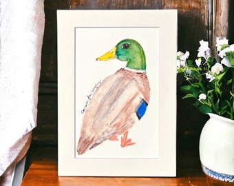 Mallard Duck Original Watercolor Painting: Matted Fine Art Print