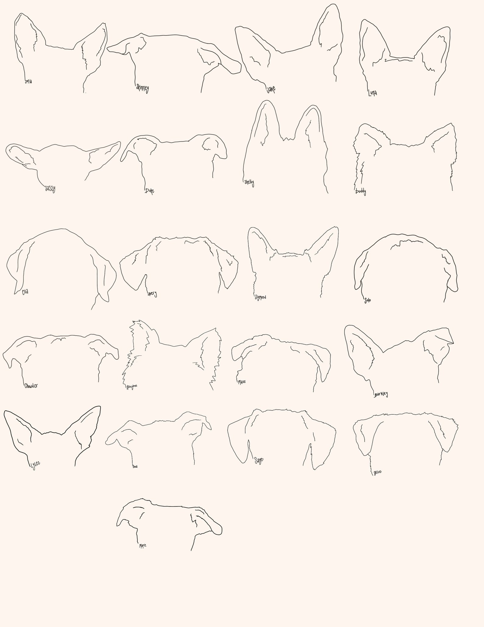 CUSTOM DOG EAR Outlinepet Ear Outline Pet Ear Silhouette Etsy UK