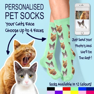 My hotsell pet socks